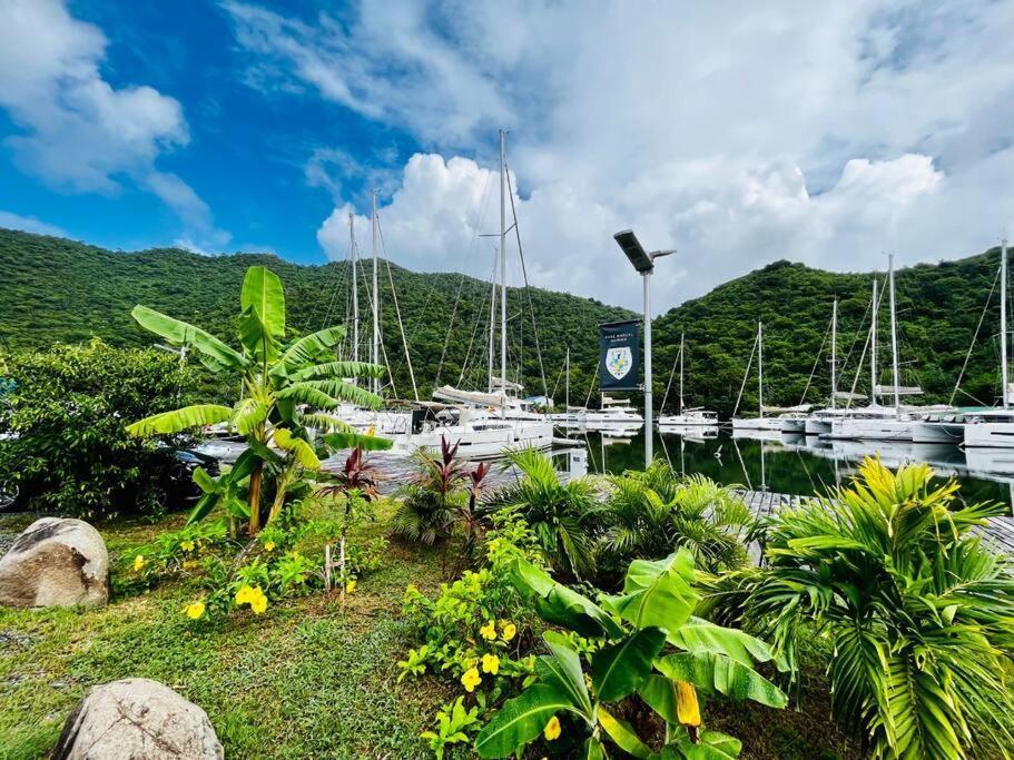 Le Palmier Bleu, Cocon Tropical, Plage & Piscine Anse Marcel Exterior foto